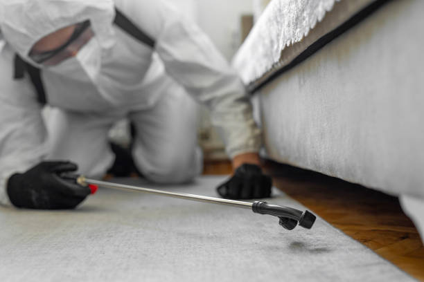Professional Bed Bug Control technician working in Kilmarnock, VA