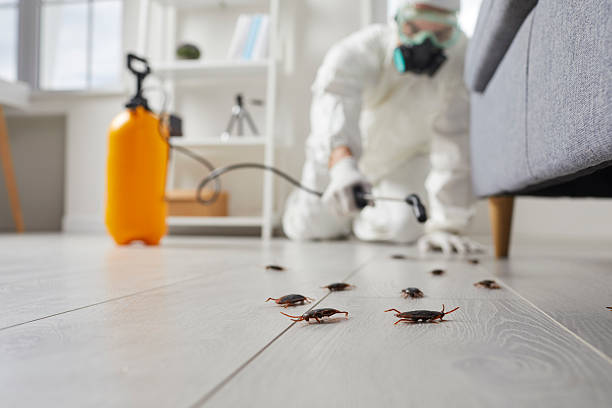 Trusted Rodent Control service in Kilmarnock, VA - Nex Pest Control