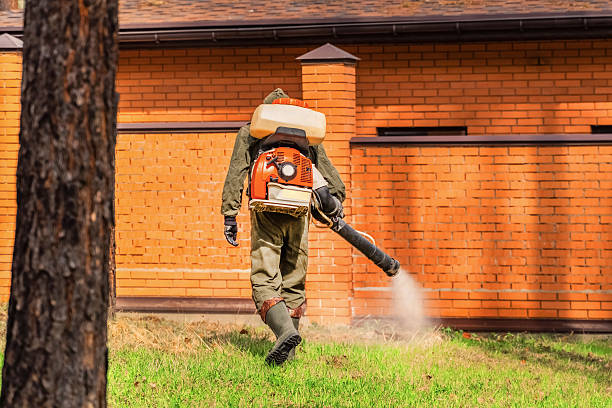 Trusted Emergency Pest Control service in Kilmarnock, VA - Nex Pest Control